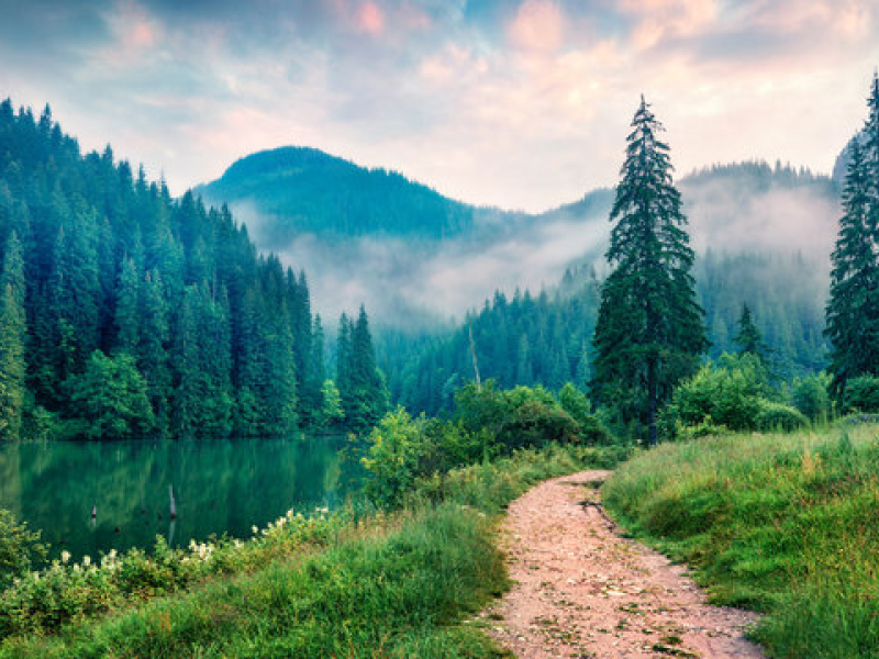 Path Image of a mountain path